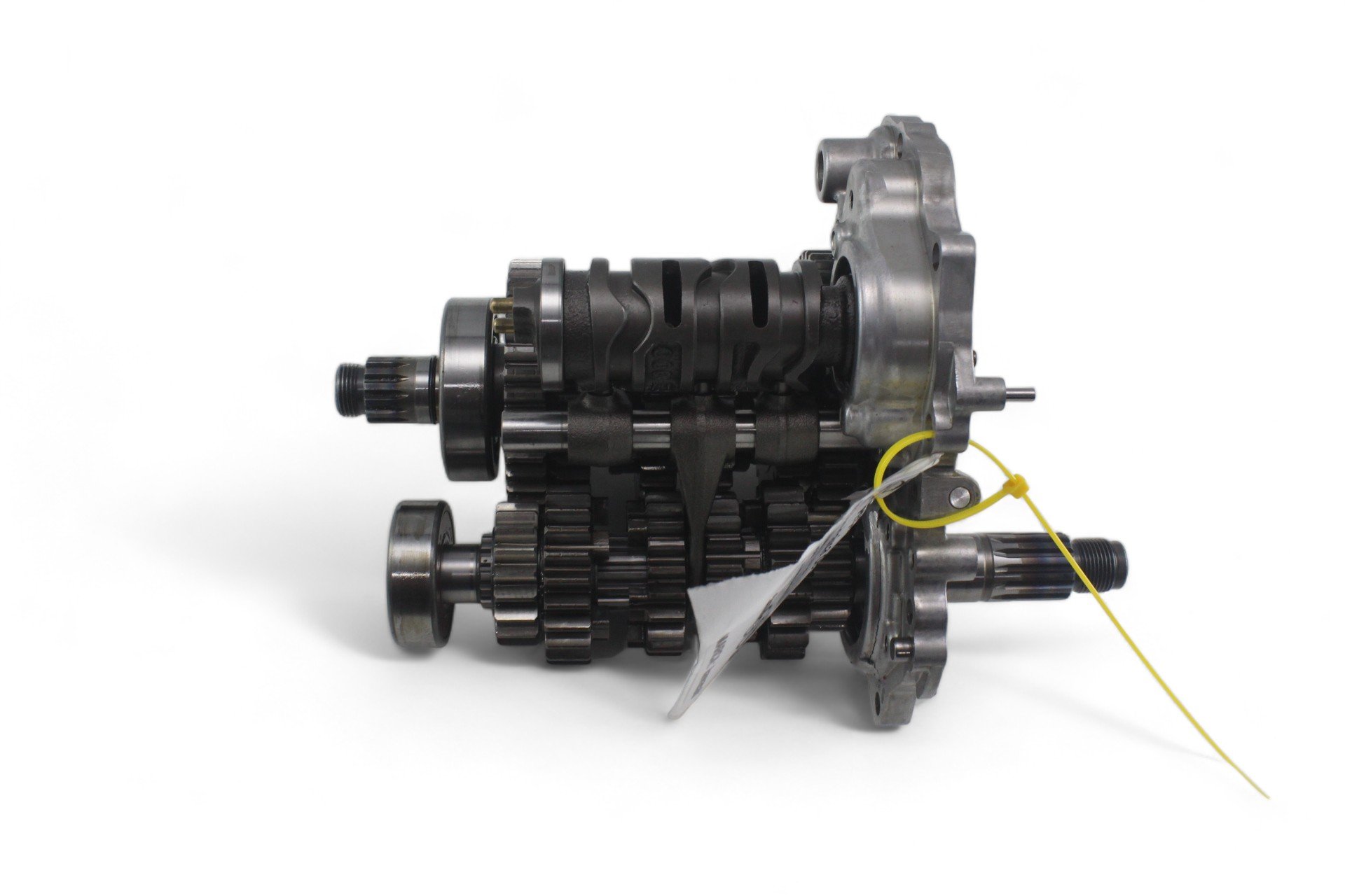 【まーろ】 img-3330-photoroom.jpg?ims=350x290