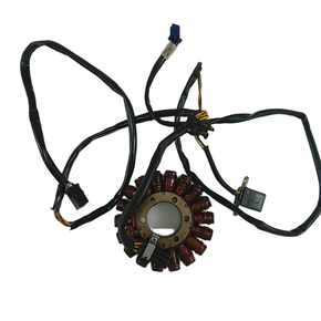 Alternador Kawasaki Zx 11 Zx11 94-99