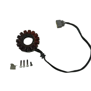 Alternador Kawasaki Zx 11 Zx11 94-99