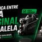 blog weber